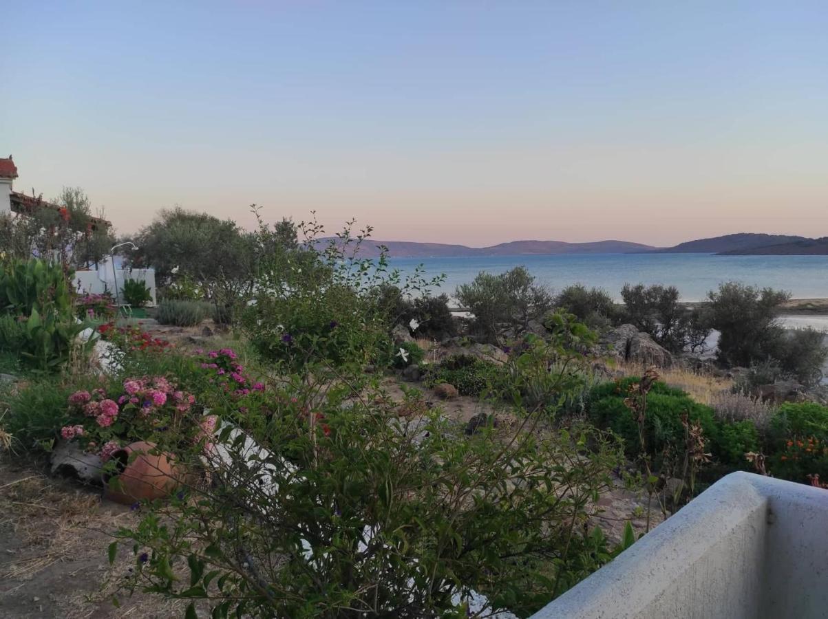 "Koukmos Beach" Greenspace Living - Private Sandy Beach Parakoila Экстерьер фото